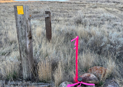 benchmark land surveyors precision marking